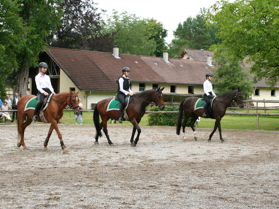 Reitstall Hammerschmiede