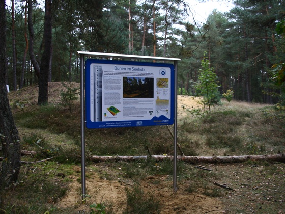 Infotafel Sanddüne Seeholz Abensberg
