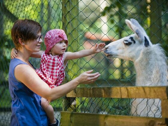 Famiienausflug in den Vogel und Tierpark Abensberg