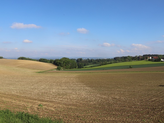 Aussichtspunkt bei Halmstein