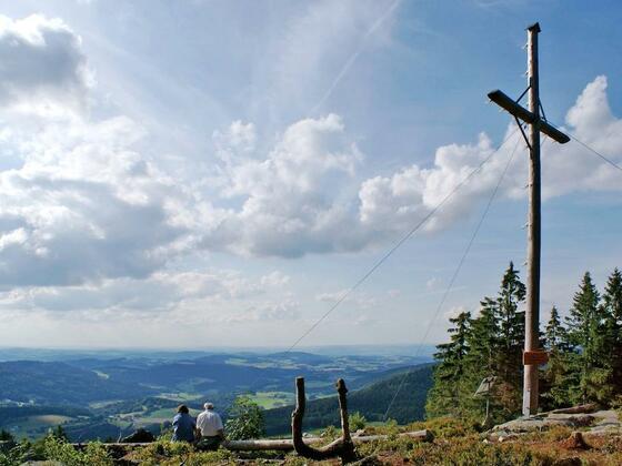 Käsplatte