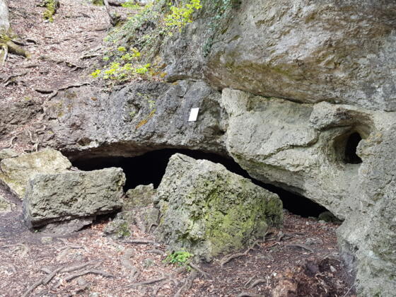 Die etwas abseits des Wanderwegs befindliche Witzenhöhle