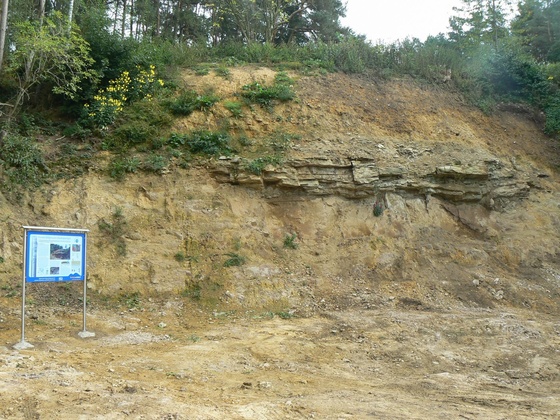 Infotafel Kreidetransgression Obertrübenbach