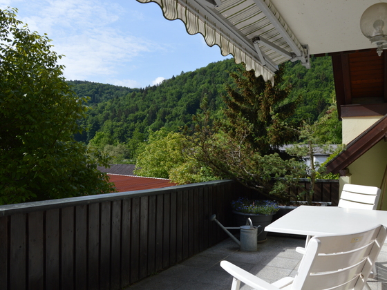 FeWo-Wiesentweg, Fam. Stein - Blick in´s Wiesenttal
