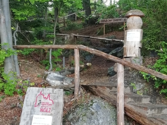 Waldkugelbahn am Arbersee