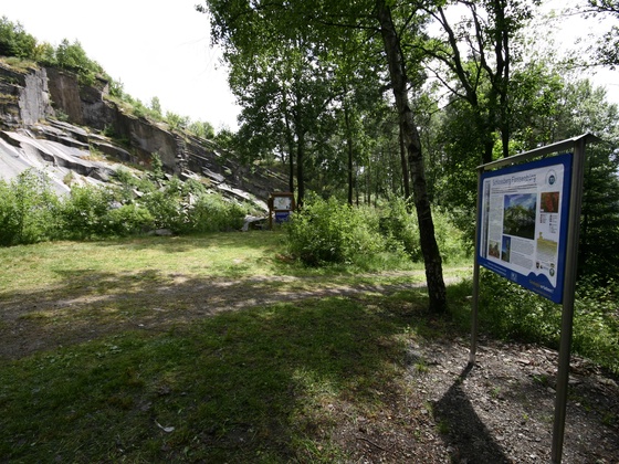 Infotafel "Bayerns schönste Geotope" am "Burgweiher" unterhalb vom Schlossberg Flossenbürg