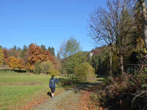 Im Aufseßtal mit Glockenfelsen im Hintergrund