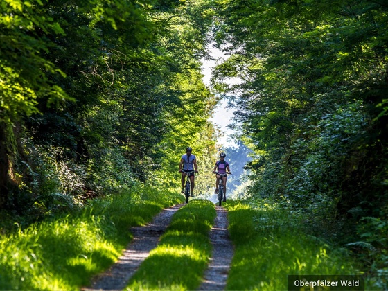 Tourismusbüro Bodenwöhr
