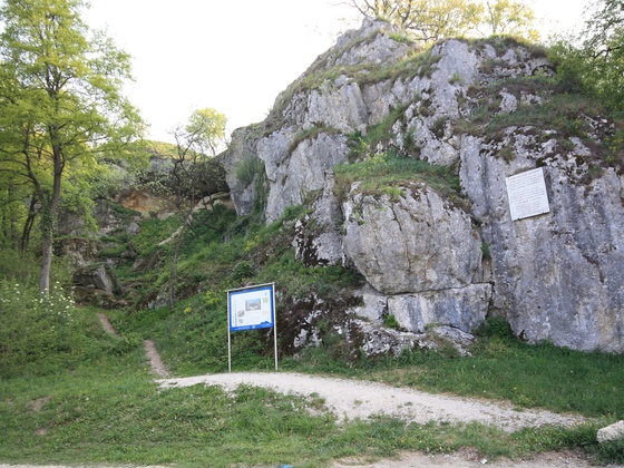 Infotafel Schutzfelsen Pentling