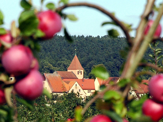 Gustenfelden