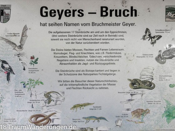 Geyers Bruch