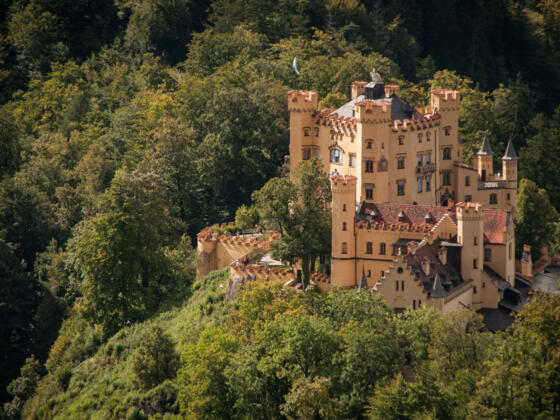 Schloss Hohenschwangau