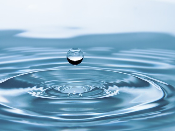 Wasser