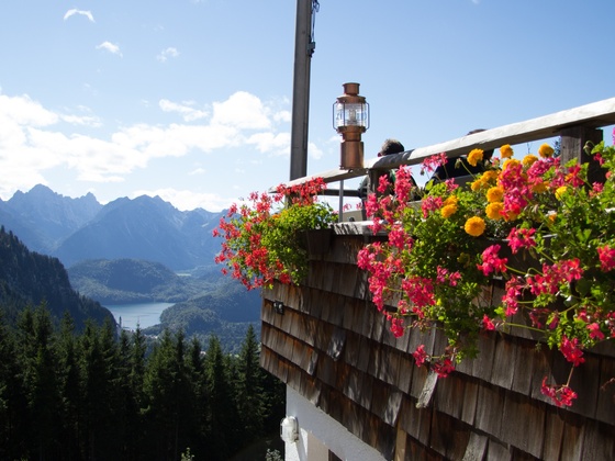 Panorama-Terrasse