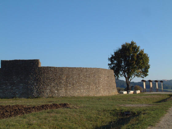 Sablonetum