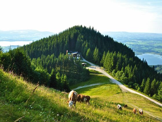 Blick vom Tegelberg zur Rohrkopfhütte
