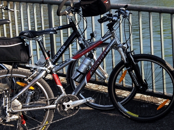 Radfahren am See
