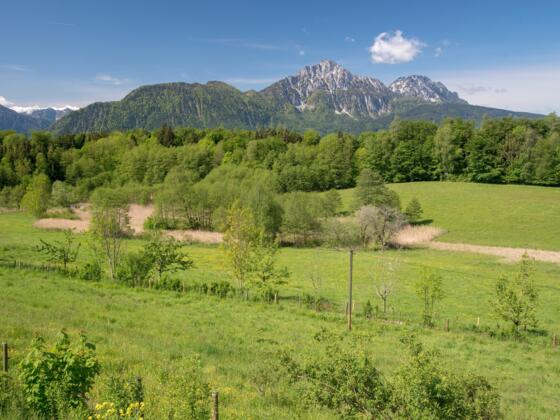 Blick vom Johannishögl über den Pidinger Bieneweg zum Hochstaufen-Massiv