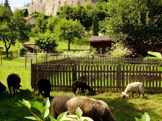 Tittmoning: Burg
