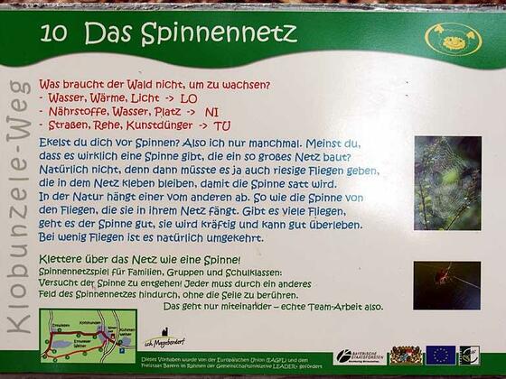 Das Spinnennetz