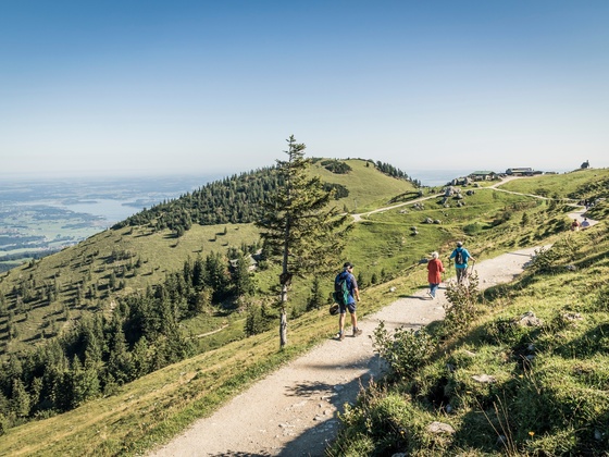 Panoramaweg zur Steinlingalm