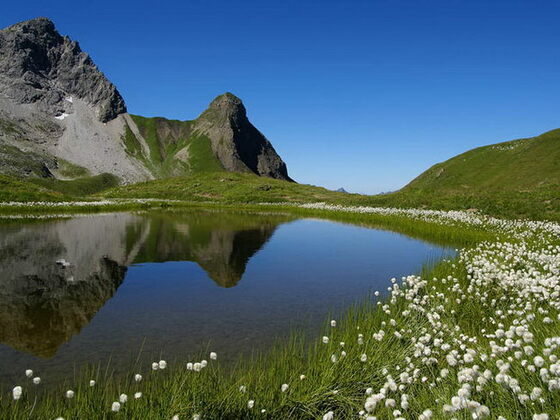 allgaeu
