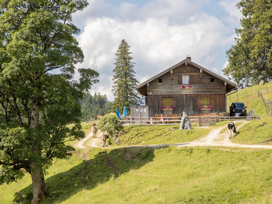 Bärenmoosalpe im Himmelreich am Kienberg