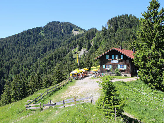 Kappeler Alp