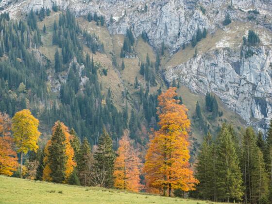 Hochtal Wankerfleck