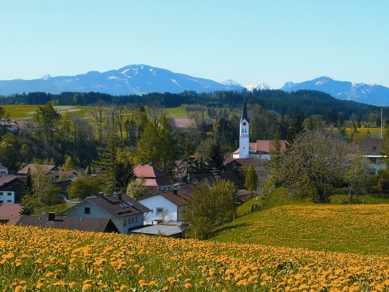Dorf Löwenzahn