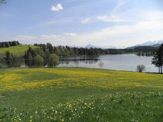 Blick von der Seeterrasse