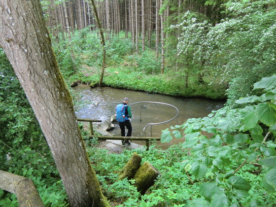Bewegungsinsel