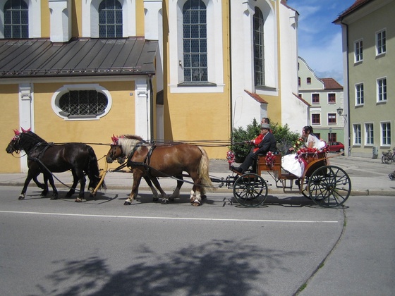 Kutschfahrten in Mindelheim