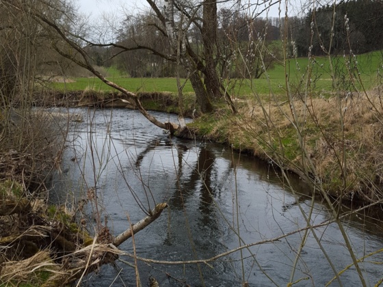 Natur am Fluss