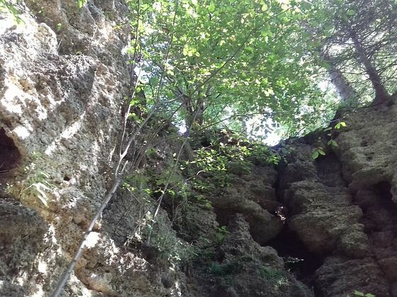 Geologische Orgeln