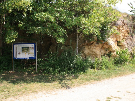 Infotafel Riesseekalke Hainsfarth