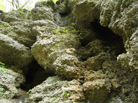 Geologische Orgeln