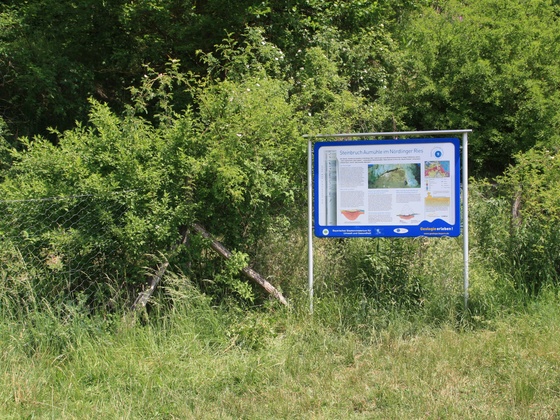 Infotafel Steinbruch Aumühle