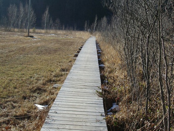 Holzsteg am Bärnsee