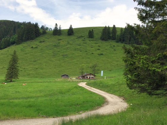 Maisalm