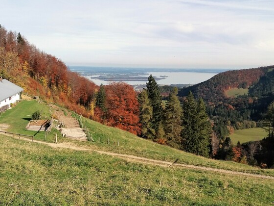 Sameralm