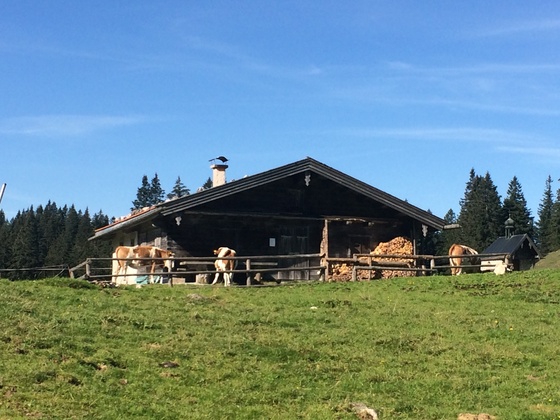 Riesen-Alm