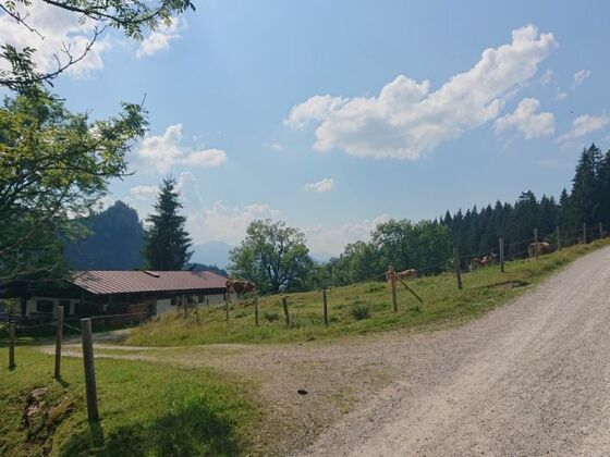 Tal Alm © Chiemsee-Alpenland Tourismus