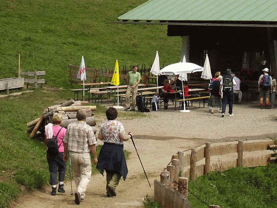 Alpe Topfen
