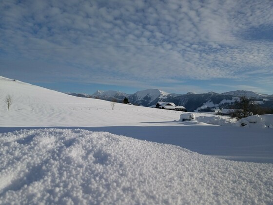 Zauberhafter Winter