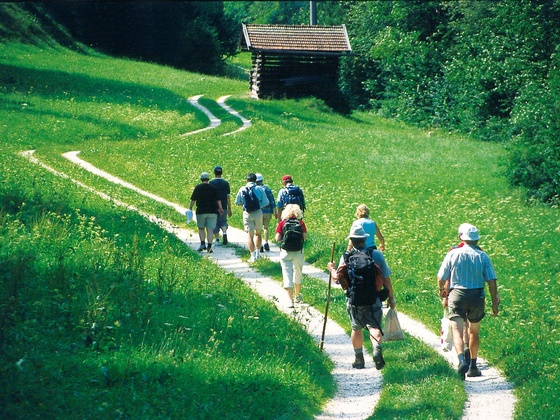 Jakobsweg zw. Reichenhall und Schneizlreuth