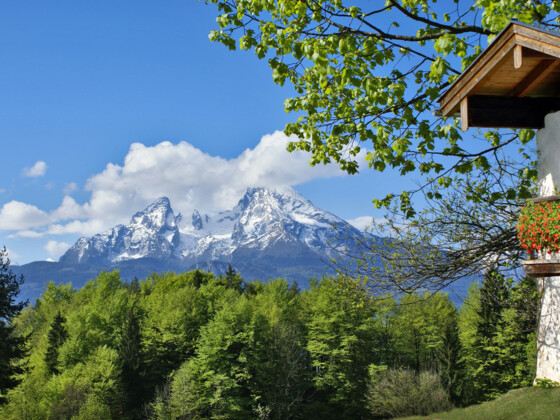 Blick vom Hochgartdörfl zum Watzmann
