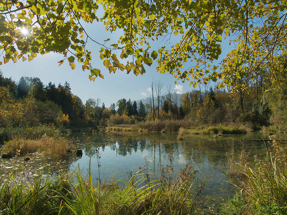 Durch die Saalachauen © RoHa Fotothek