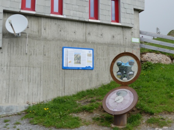 Infotafel Nagelfluh am Hochgrat