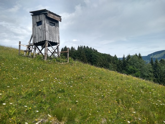 Hochsitz